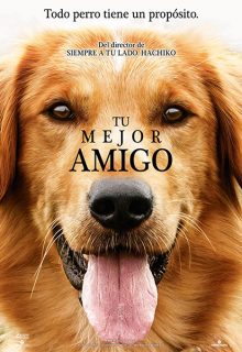 Tu mejor amigo (2017)